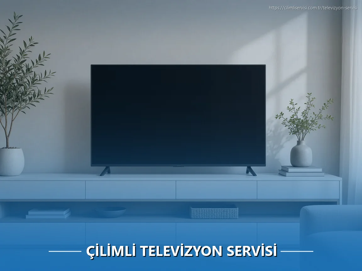 Çilimli Televizyon Servisi