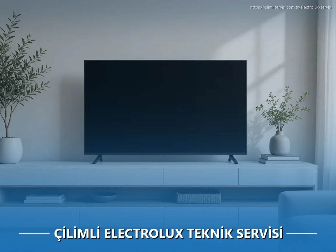 Çilimli Electrolux Teknik Servisi