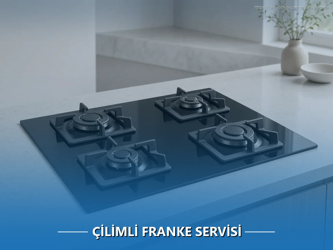Çilimli Franke Servisi